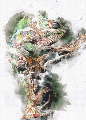 chameleon artwork