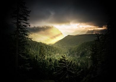 Nature Forest Cloud