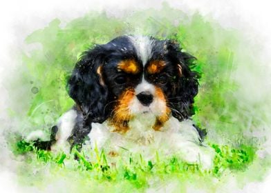 Cavalier watercolor