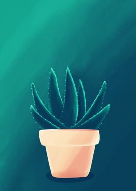 aloevera illustration