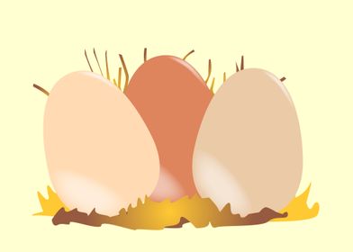 Eggs