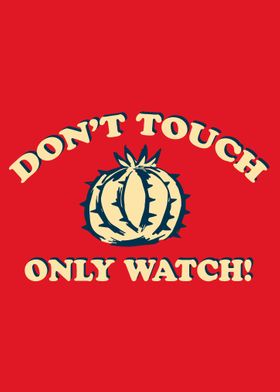 Vintage Cactus Rainbow 22