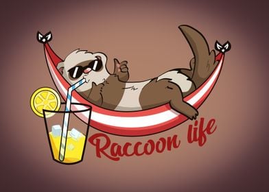 Funny racoon on hammock