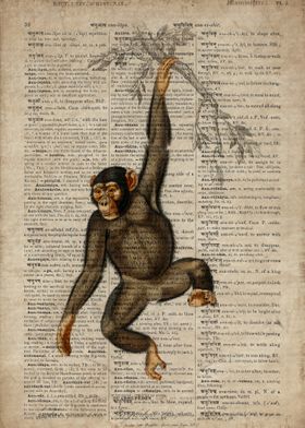 Chimp on old paper