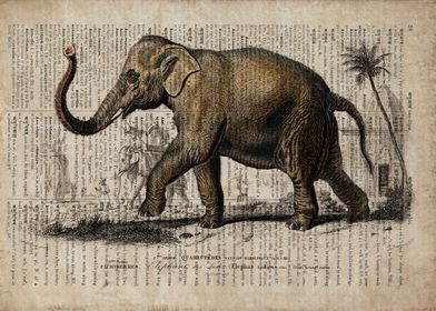 Elephant on old paper