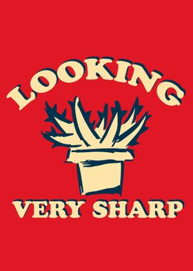 Vintage Cactus Rainbow 28