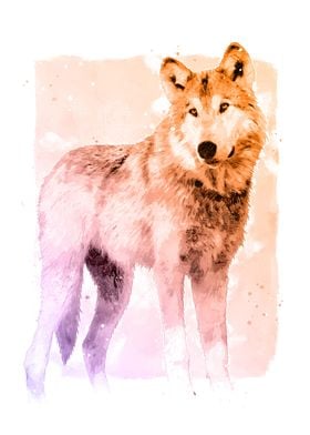 wolf watercolor