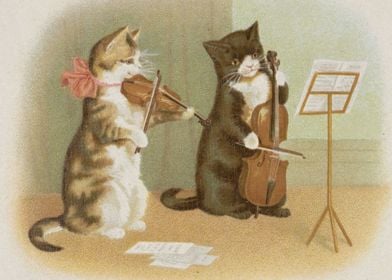 Cat the Musician