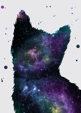 Kitten Nebula