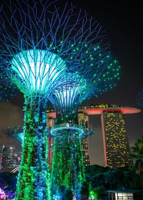 Supertree in Singapore