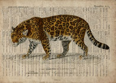 A jaguar on old paper