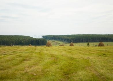 Autumn field