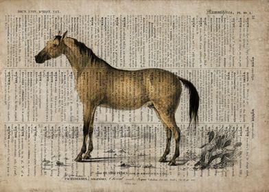 A horse on old paper