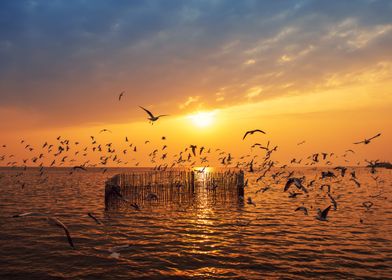 Sunset Landscape Beach