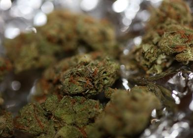 Cannabis AMG super skank 