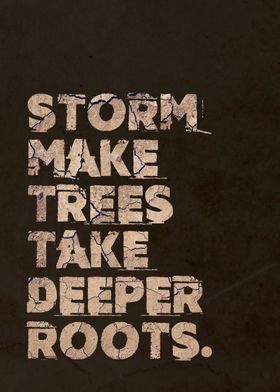 Storm quote