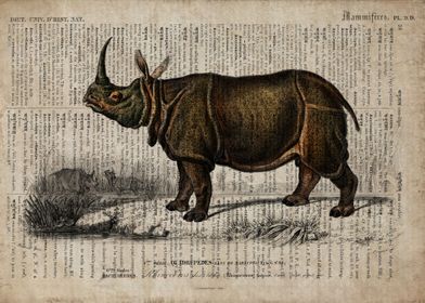 A rhino on old paper