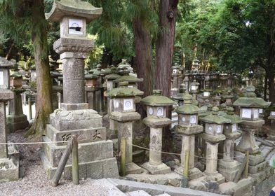 Lanterns of Kasuga Taisha