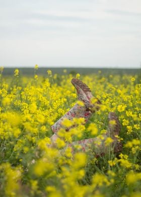 Summer field