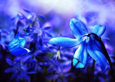 Blue flowers 