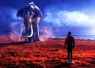 Man and elephant