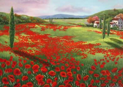 Tuscan poppy field