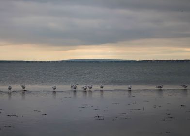 Evening lake