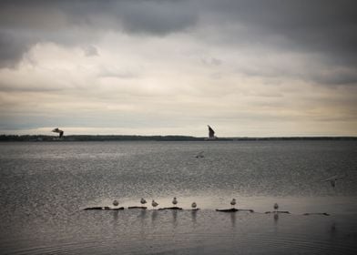 Evening lake