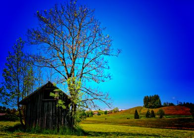 Nature Earth Countryside T