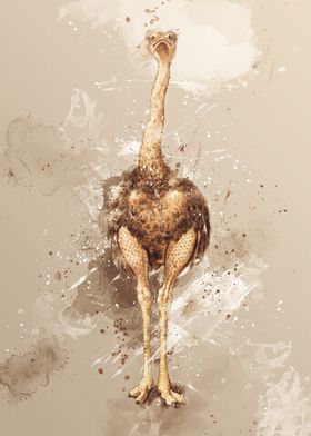 Ostrich Watercolor