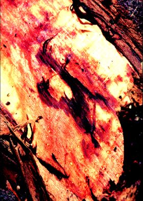 Wood trippy abstract macro