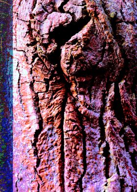 Wooden trippy tree stories