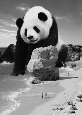 Giant Panda at the Beach