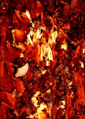 Trippy treescapes stories