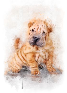  Shar pei puppy watercolor