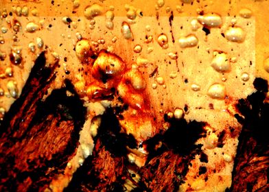 Wooden trippy tree stories