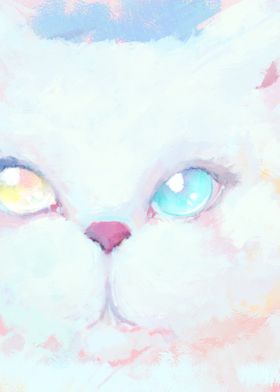 Heterochromic Cat