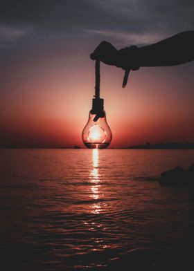 Person Holding Light Bulb