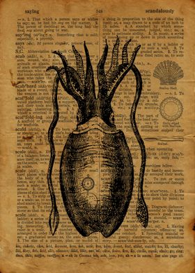 Squid engraving