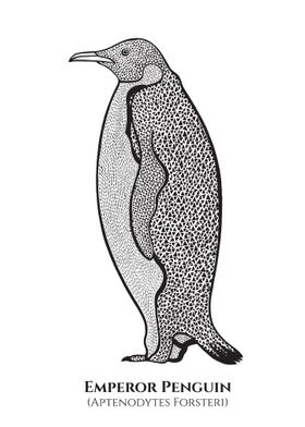 Emperor Penguin with names