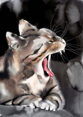 Cat Yawn