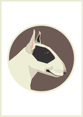 Bull Terrier Fawn White