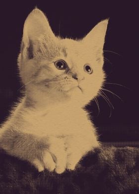 Cute Vintage Cat
