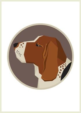 Basset Hound