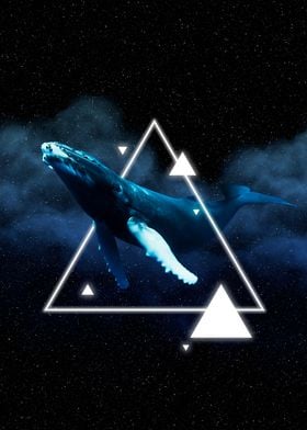 Whales Space