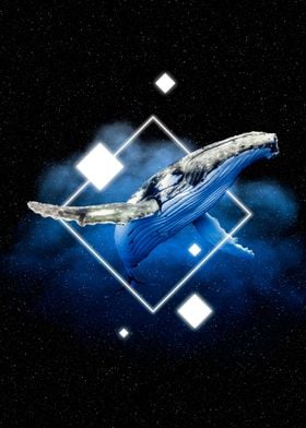 Whale space