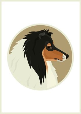 Collie