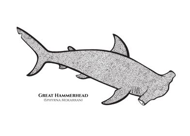Hammerhead Shark with name