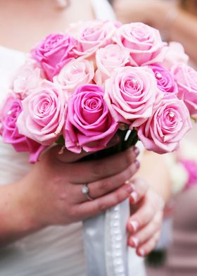 Beautiful Pink Flowers