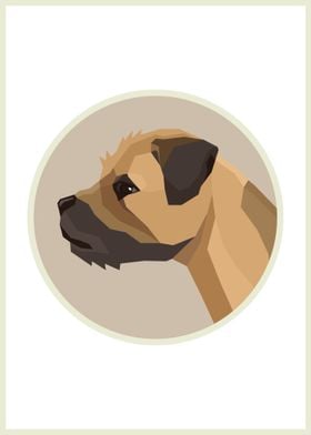 Border Terrier